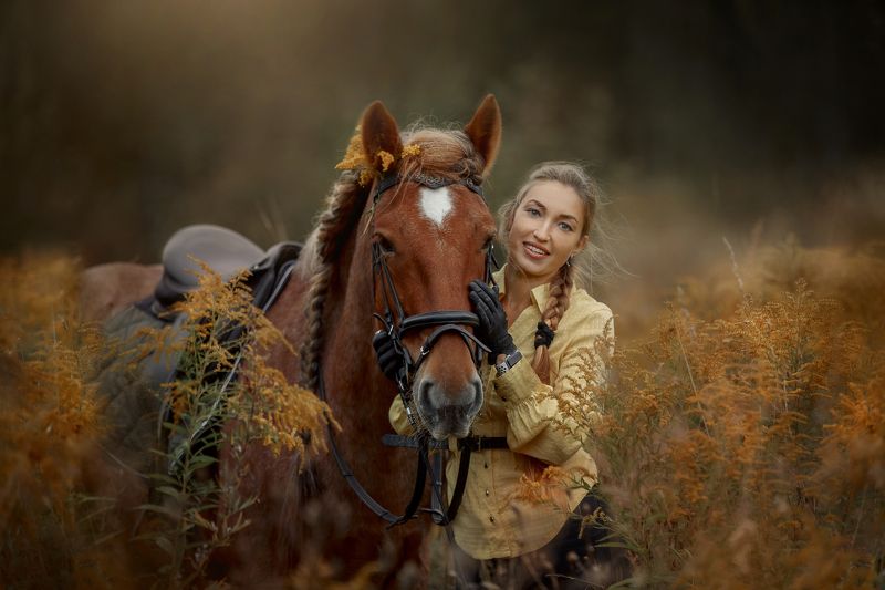 Золотарник фото превью