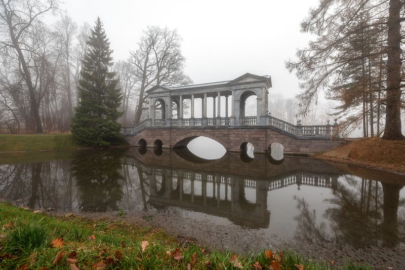 Утренняя меланхолия. фото превью