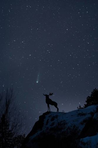 Где-то в космосе летит...