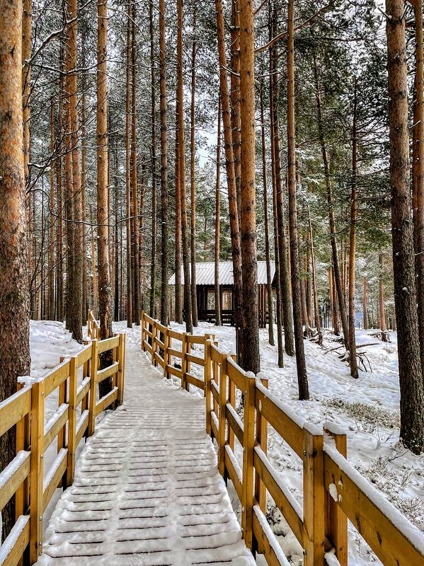 Раннее утро в городском парке фото превью