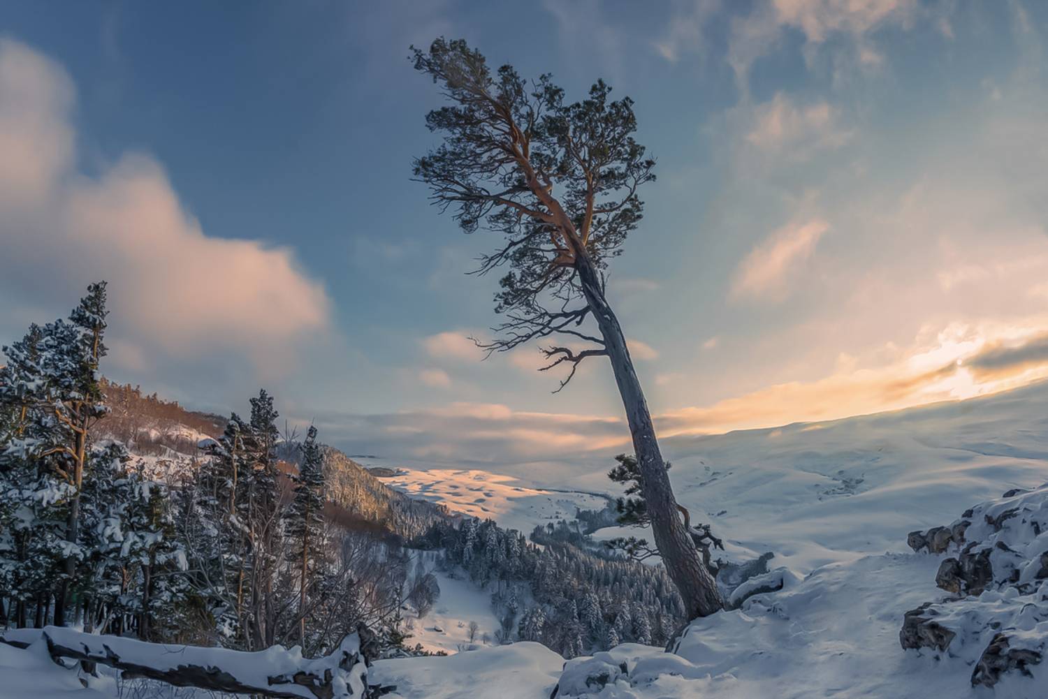 лес закат плато, Anatoly