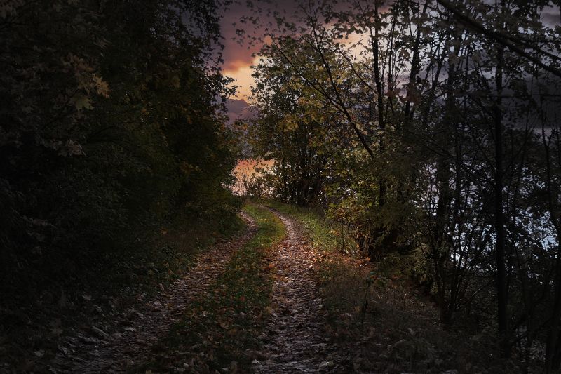 тропинка у озера.. фото превью