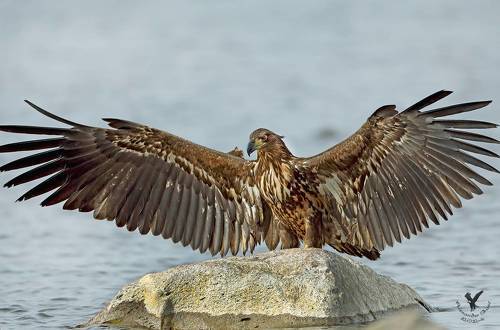 Рубаха парень.