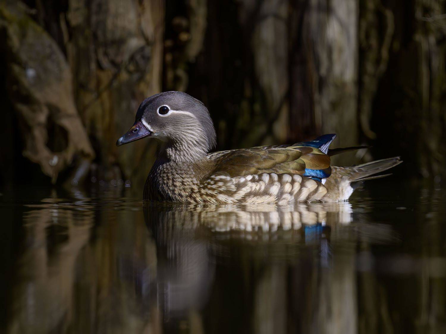 , Пупонин Сергей