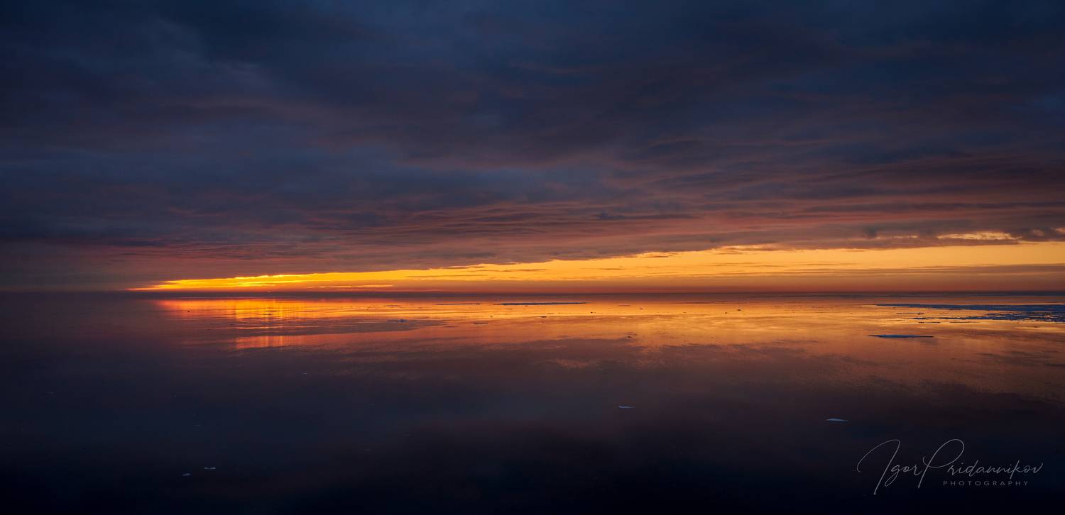 , Игорь Приданников