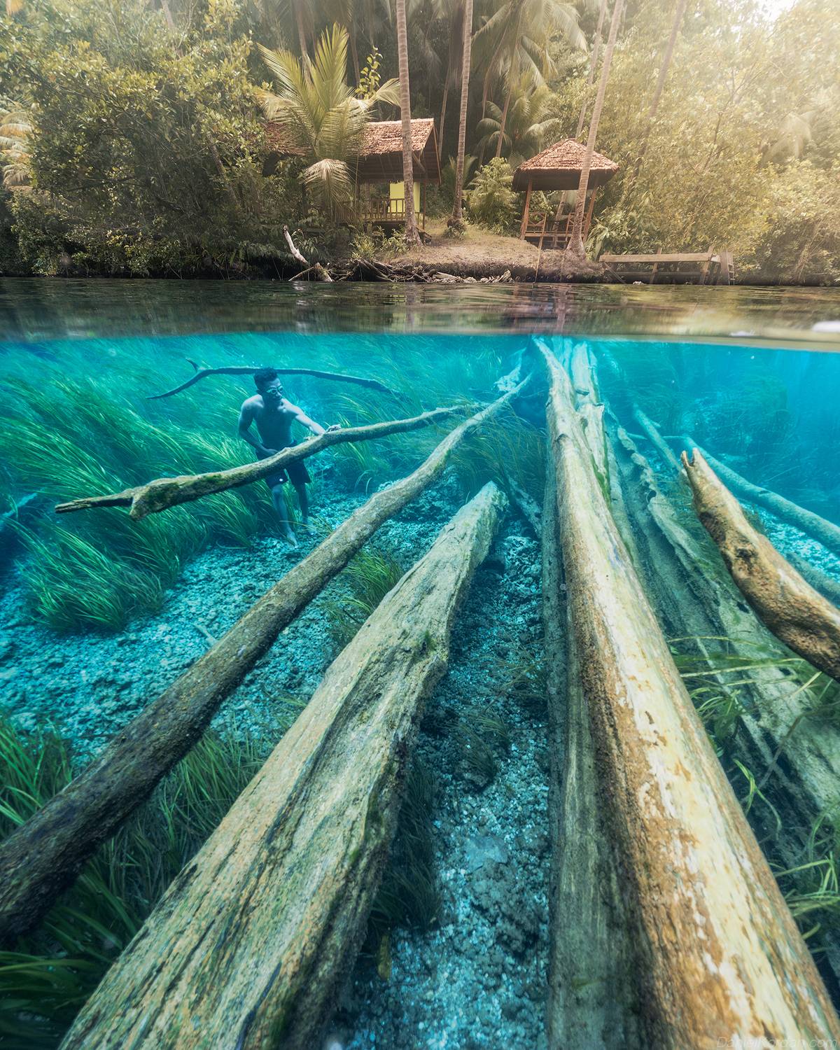 , Даниил Коржонов