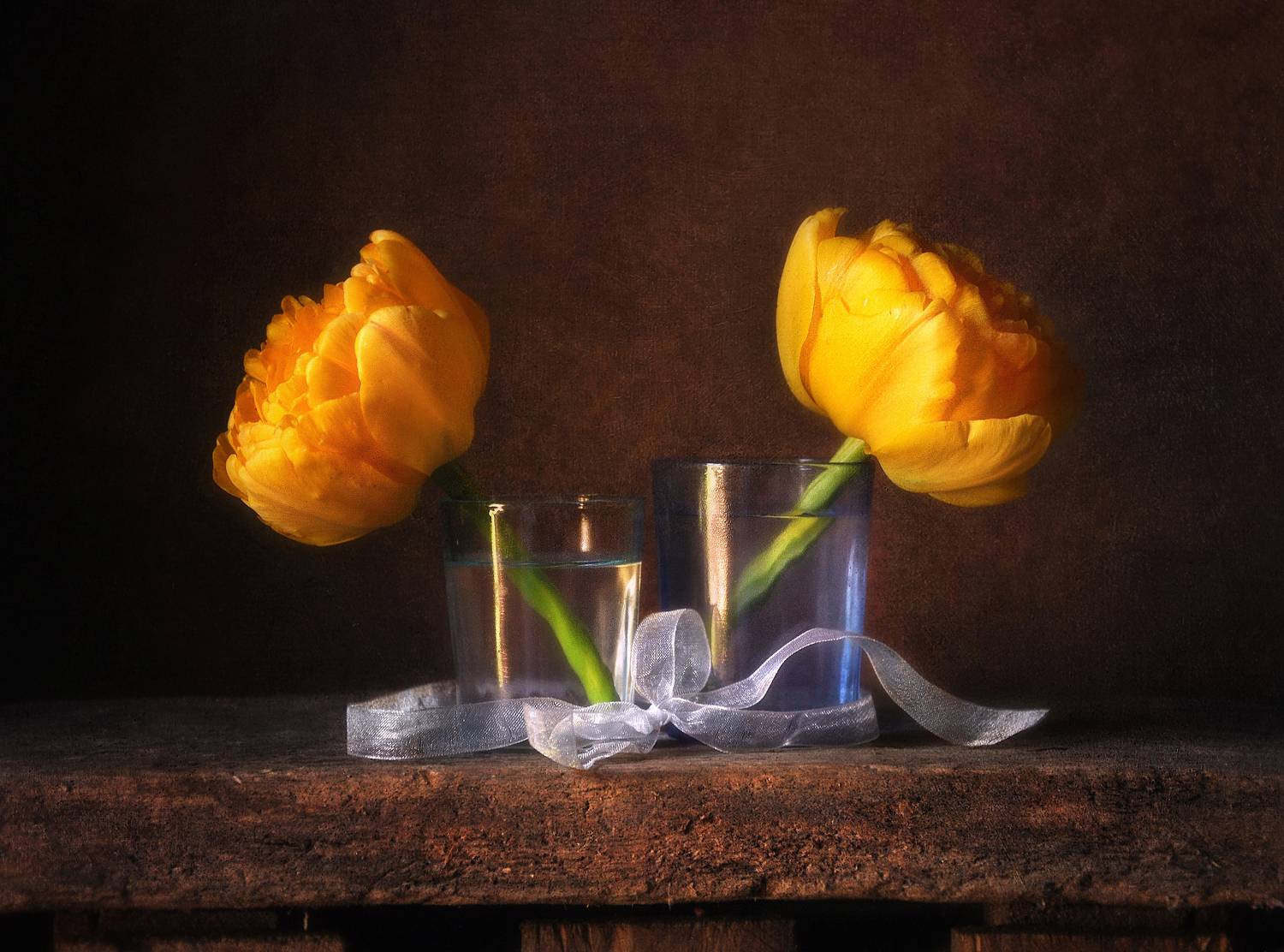 тюльпаны, Буглак Инна