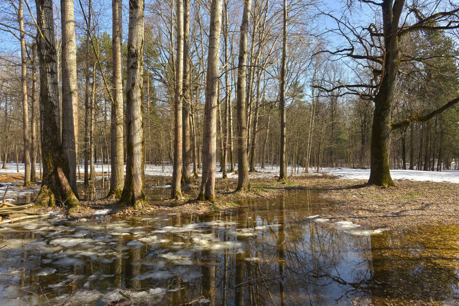 , Сергей Седов