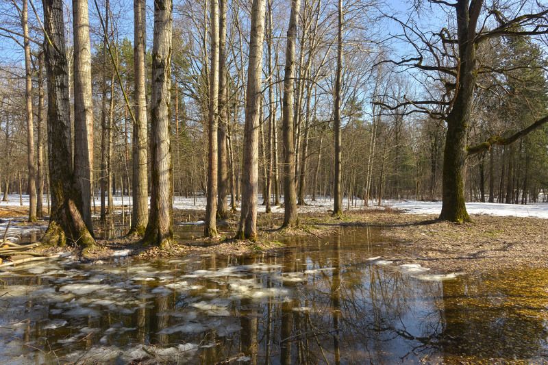 Весна воды фото превью
