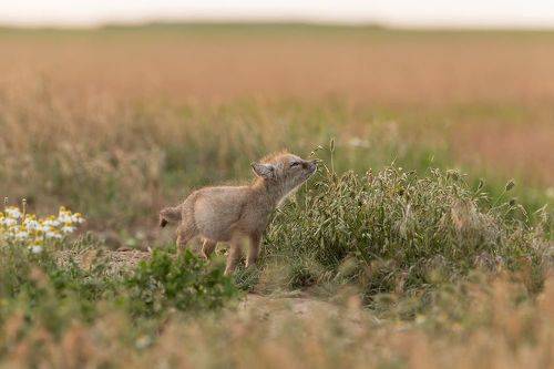 Изучение мира