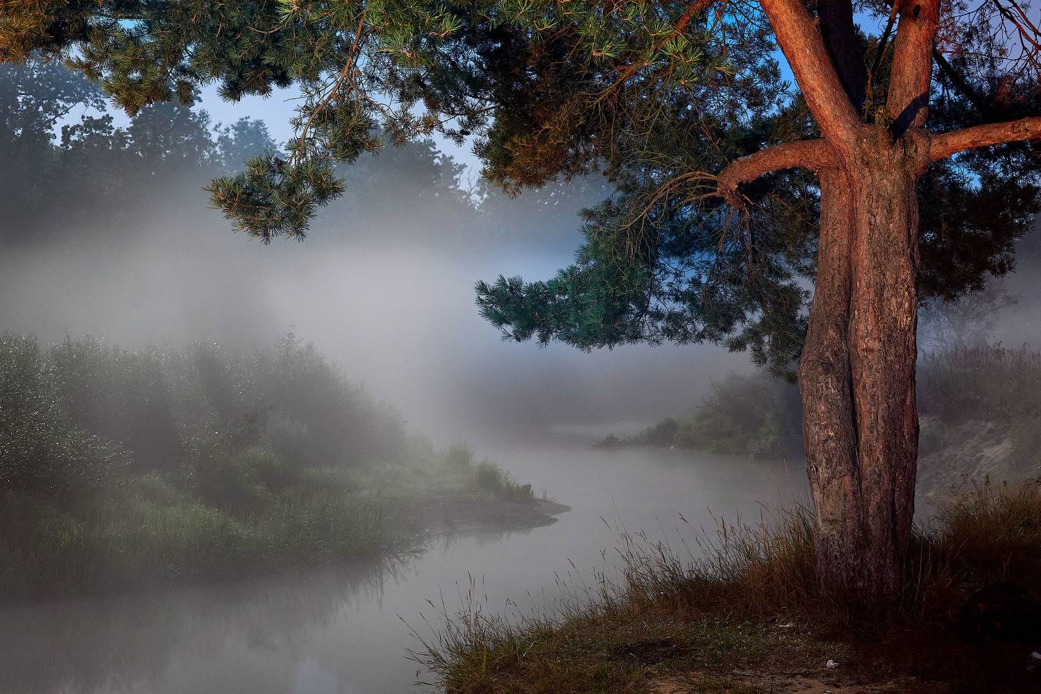 туман. утро. река. дерево. свет костра., Totoro D