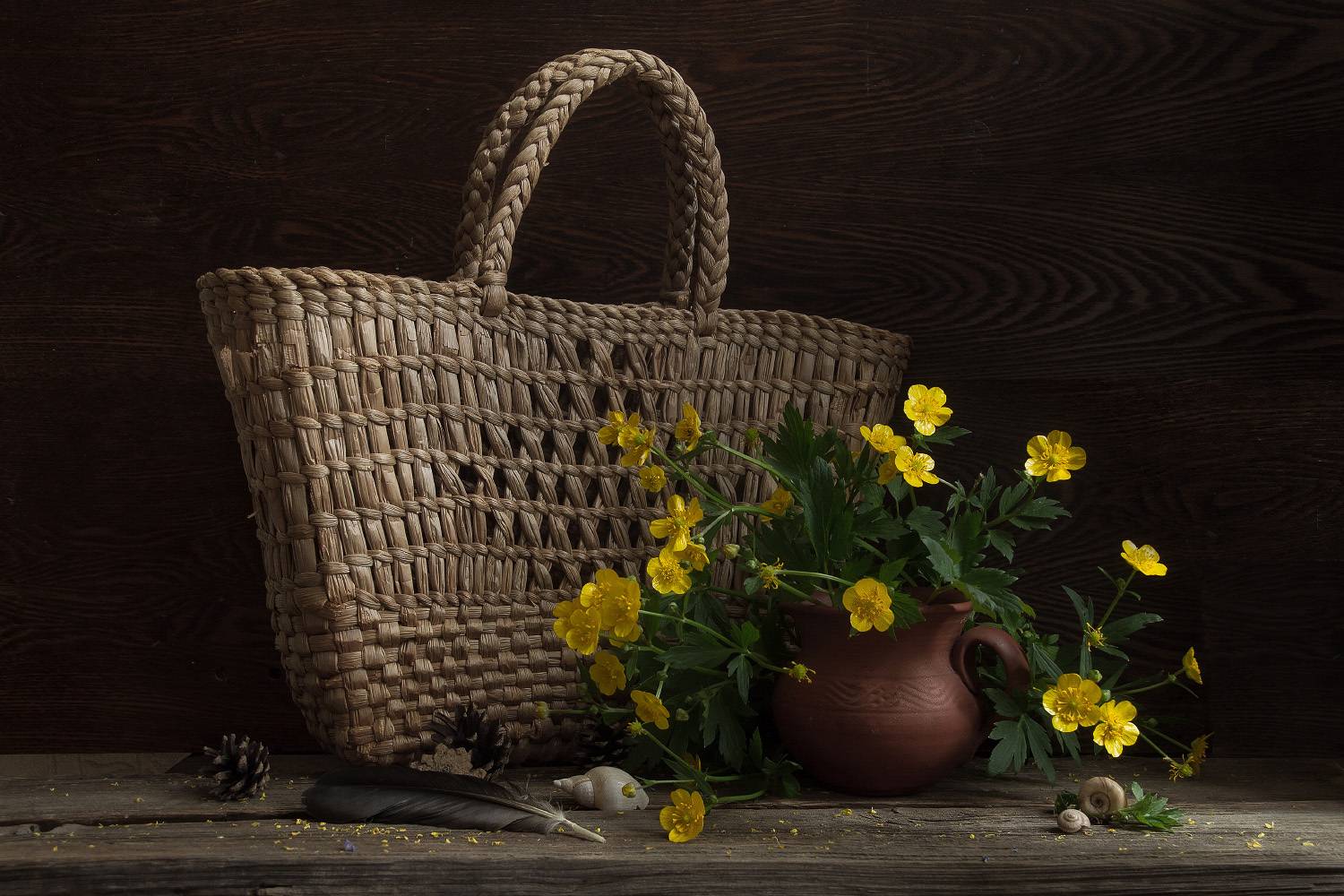 , Колеснева Елена