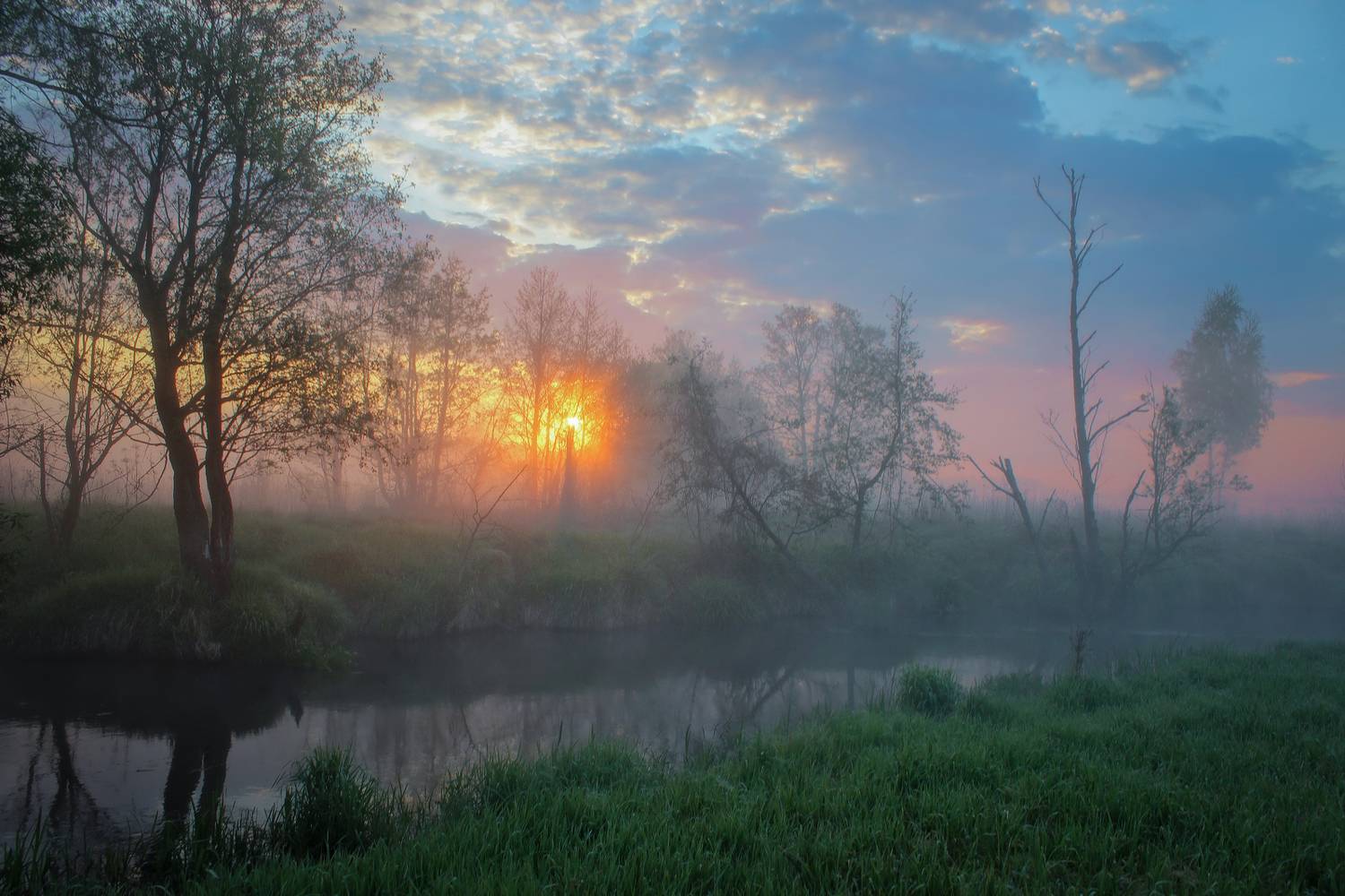 , Игорь Денисов