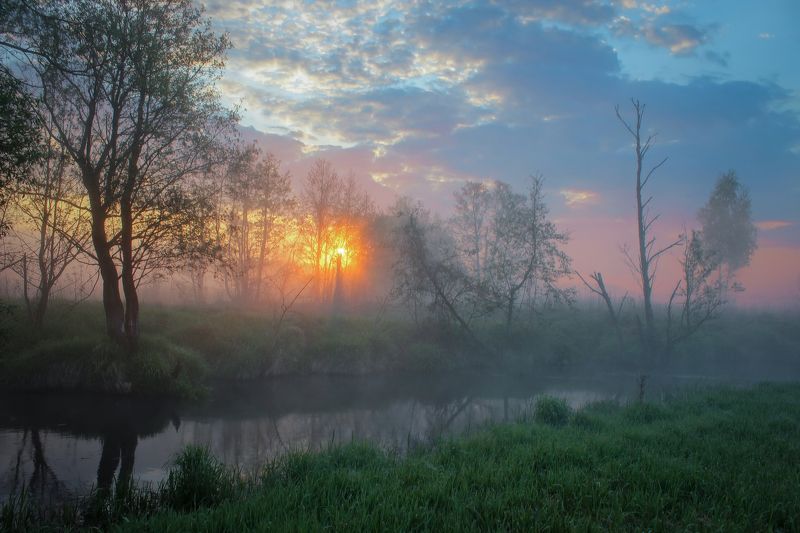 ******** фото превью