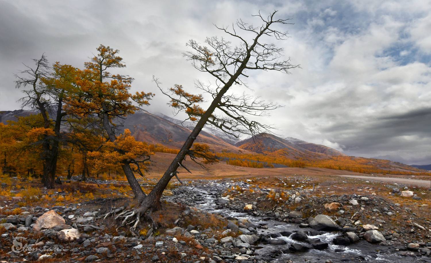 , Светлана Крат