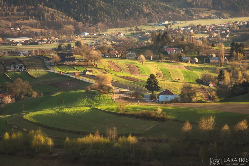 Весеннее фото превью