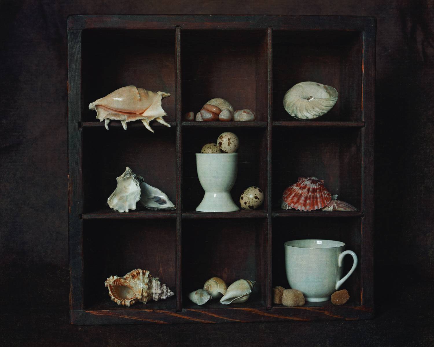 , Albina Bougartchev