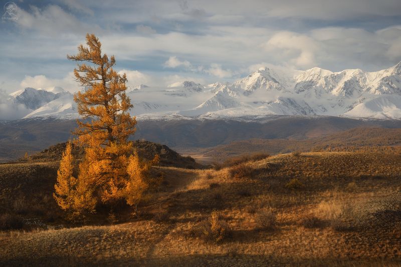 алтай, фототур по алтаю, осень, горы, горный алтай, республика алтай, курай КЛАССИКА АЛТАЯ фото превью
