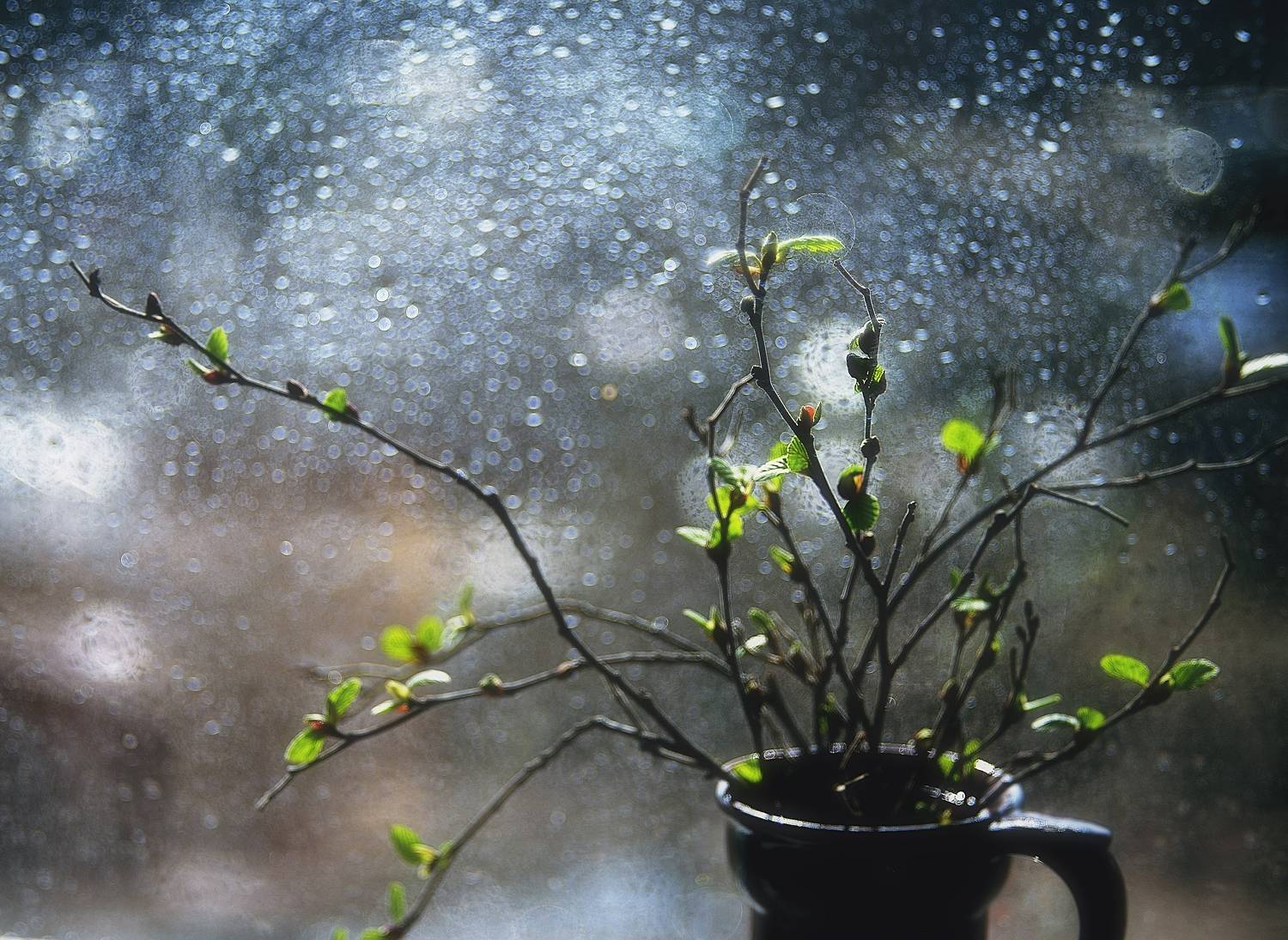 натюрморт,весна,боке, Наталия К