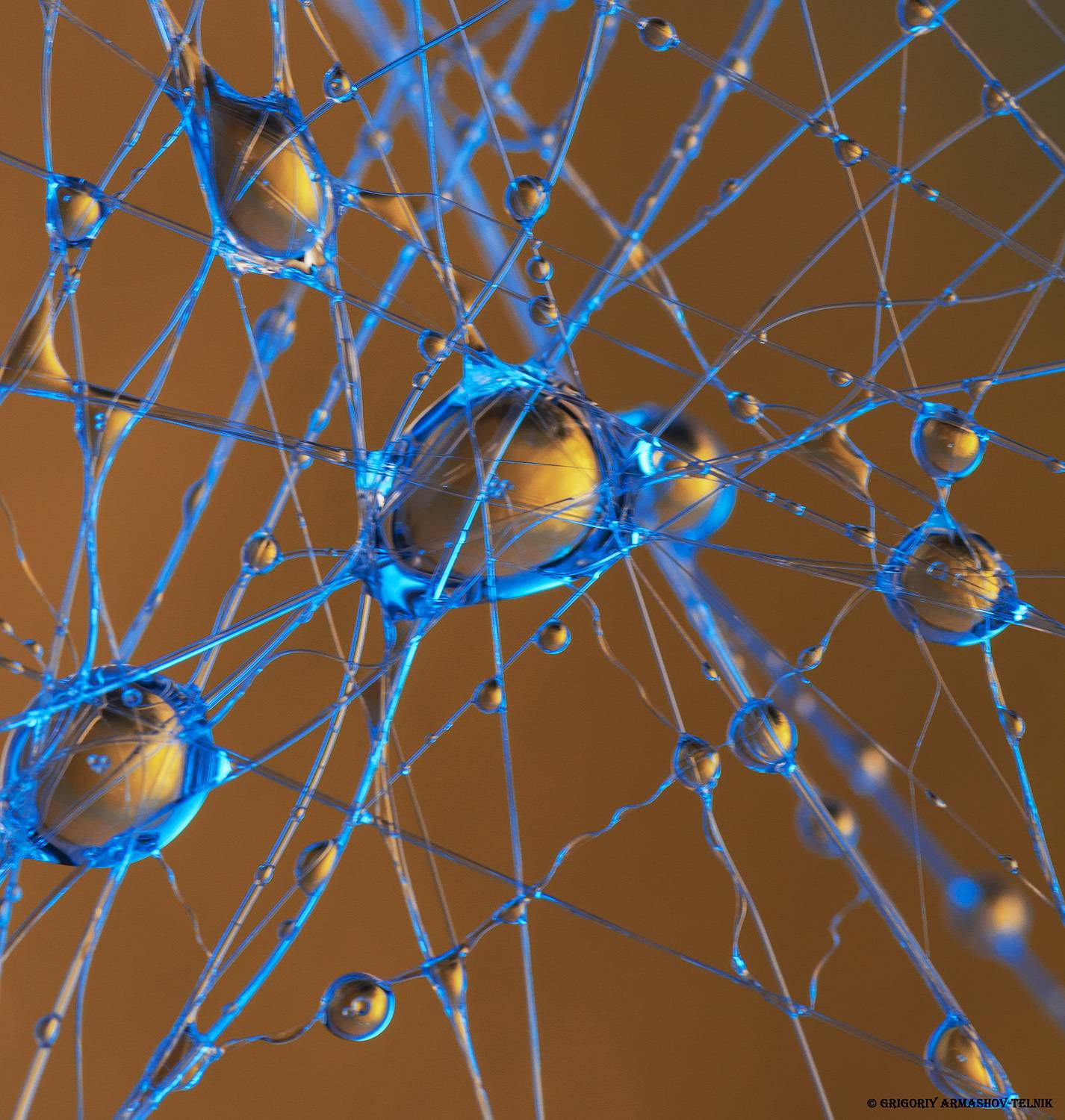 liquid, water, macro, drops, web, Армашов-Тельник Григорий