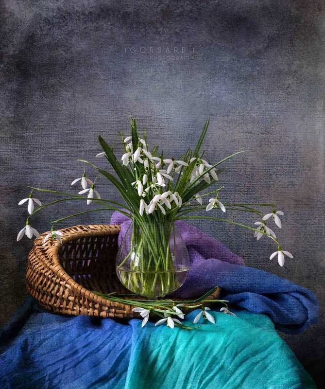 Snowdrops 2 фото превью