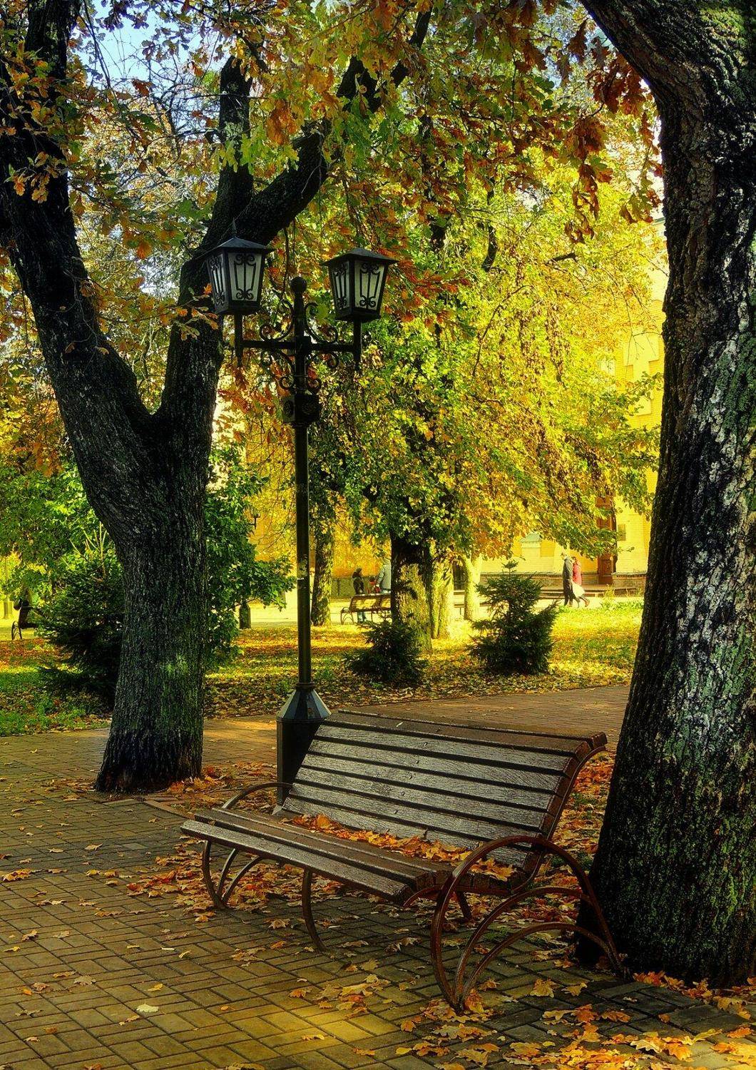 , Савоцкий Роман