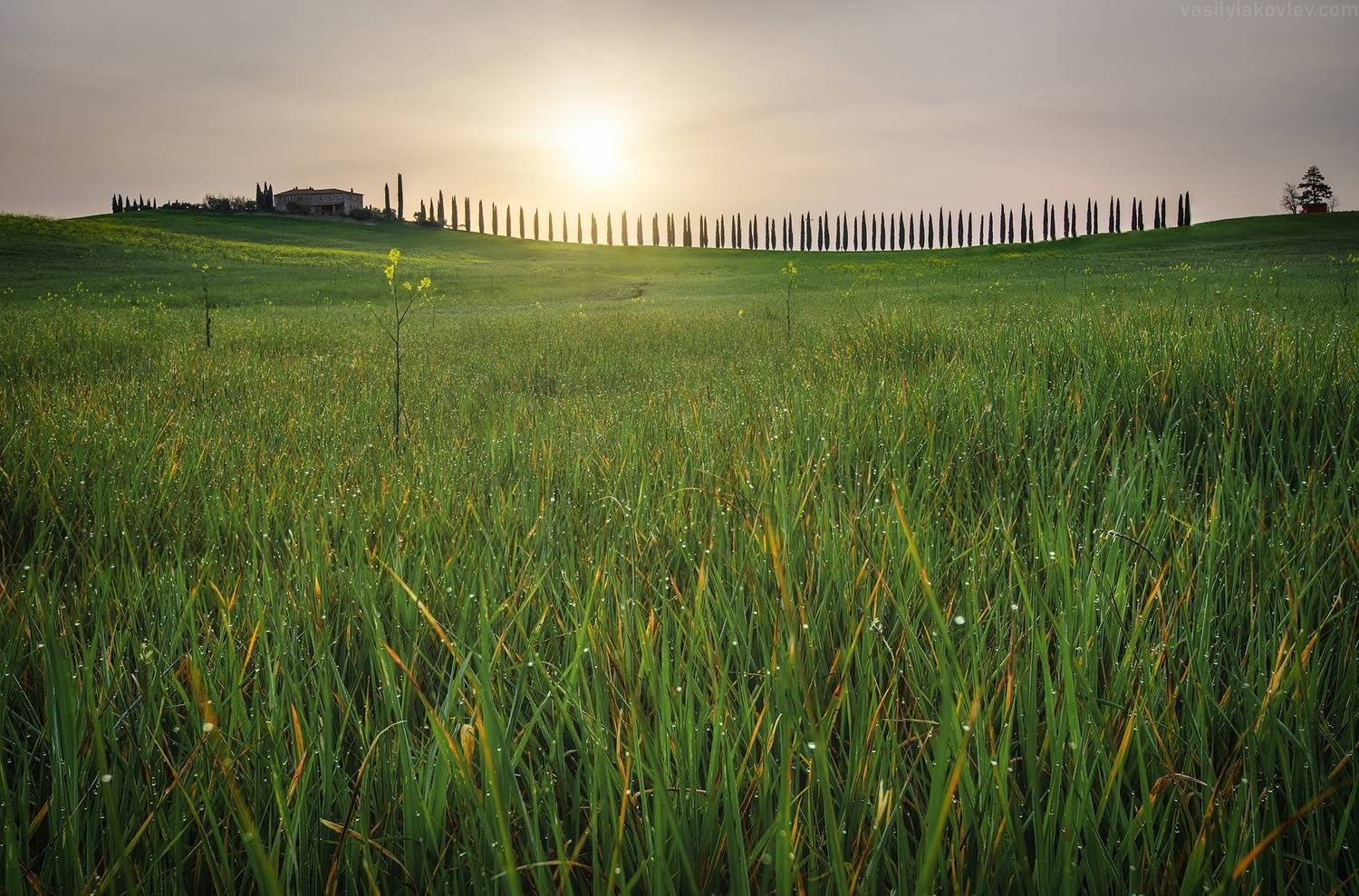 тоскана, италия, фототур, Василий Яковлев