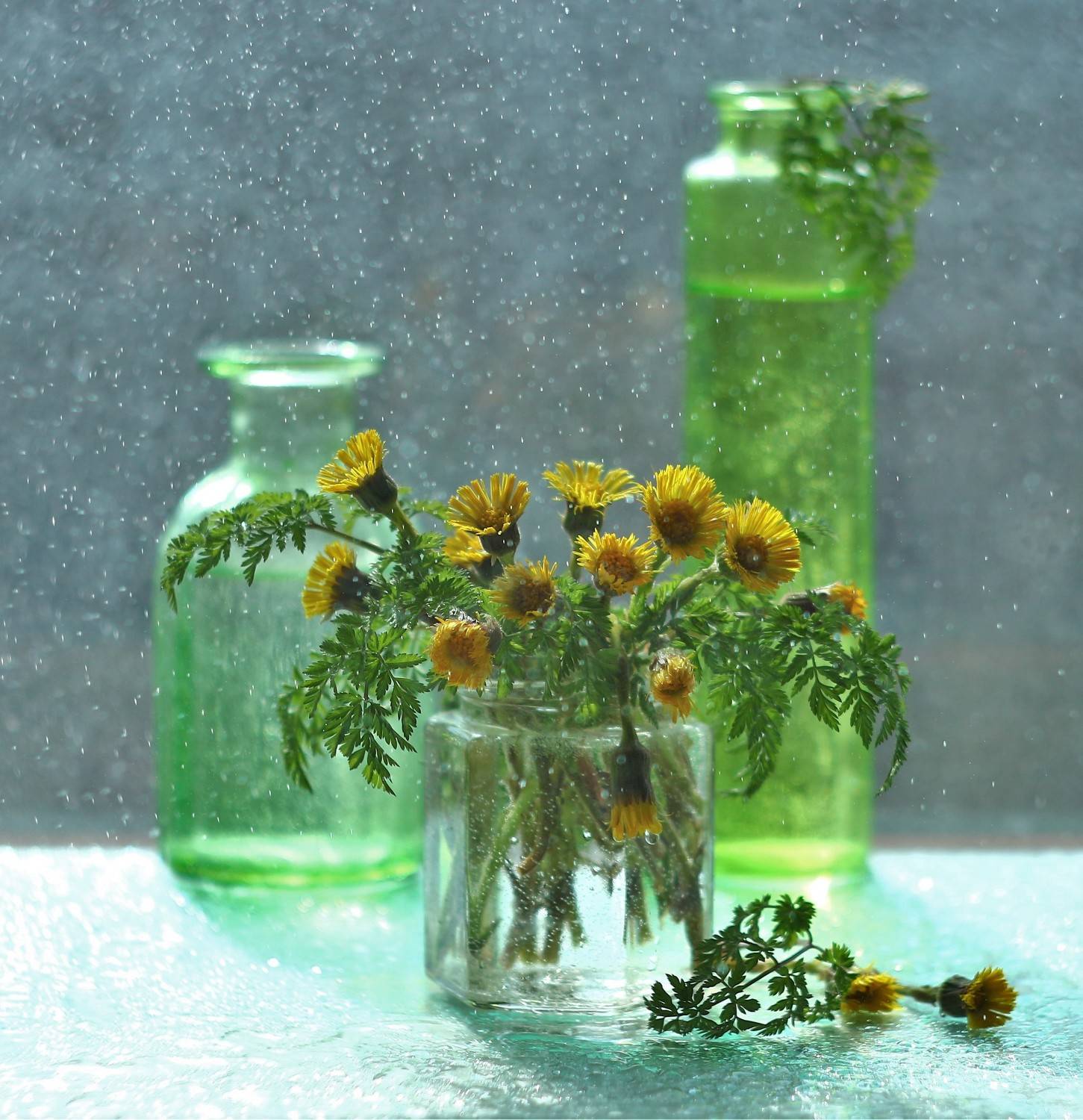 , Людмила Хрусталева*