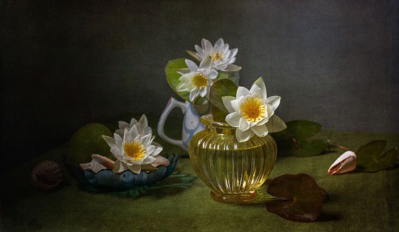 Водяная лилия--одолень-трава фото превью