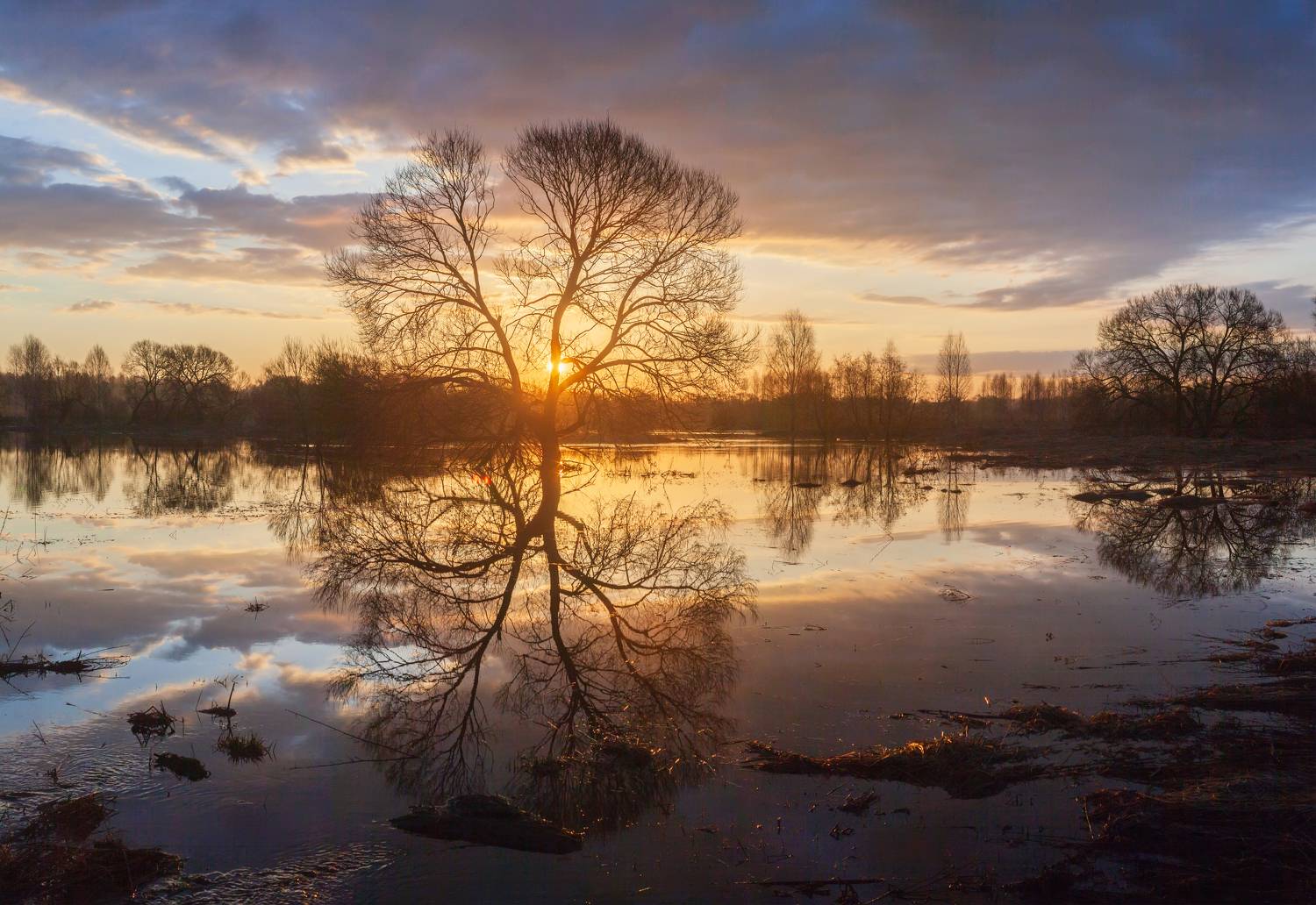 весна, река, рассвет, Свистков Александр