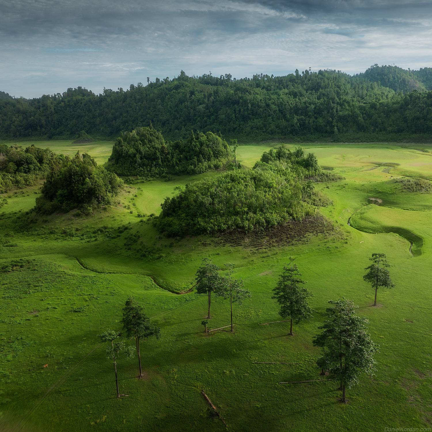 , Даниил Коржонов