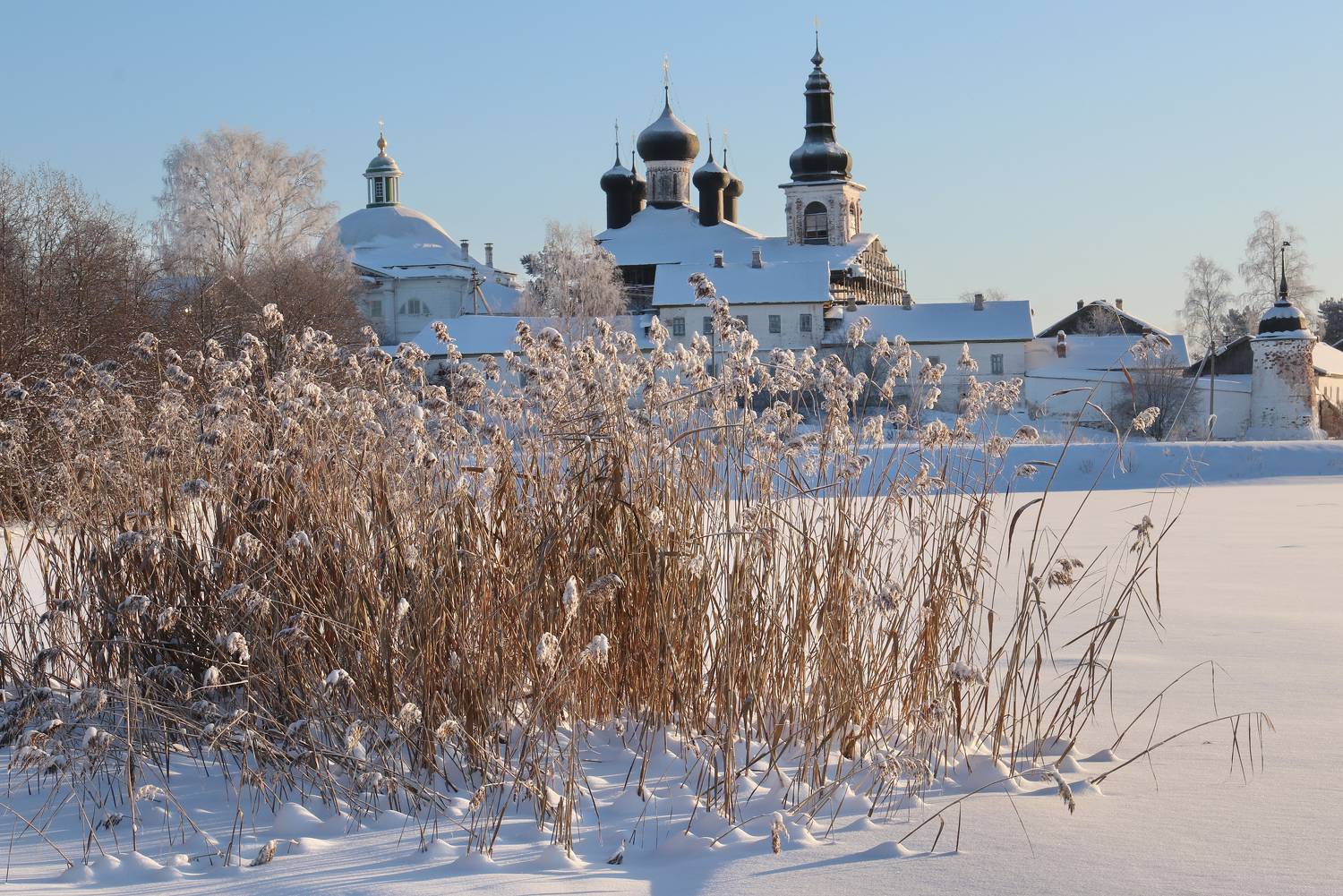 , Добролюбова Тамара