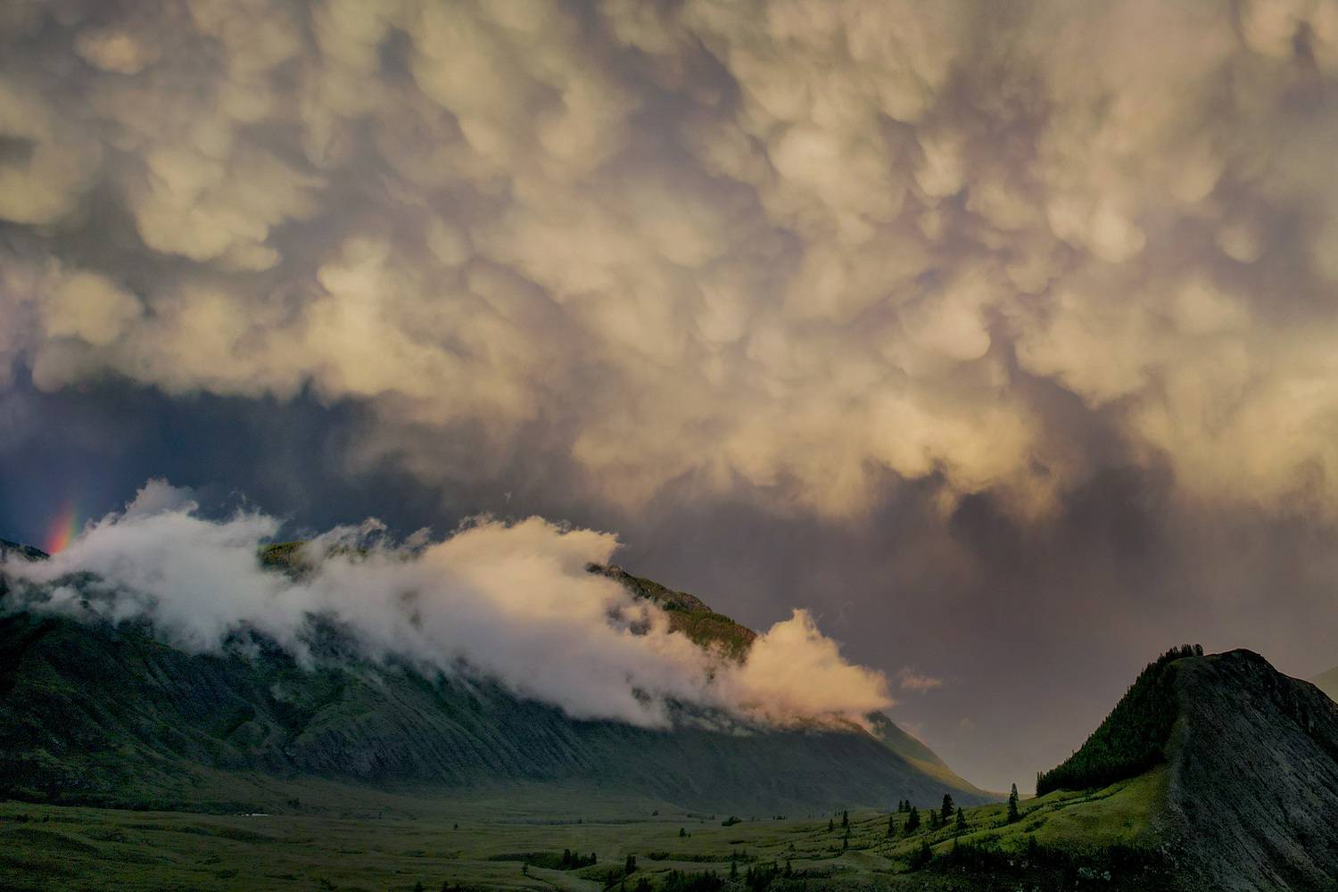 , Константин Буркин