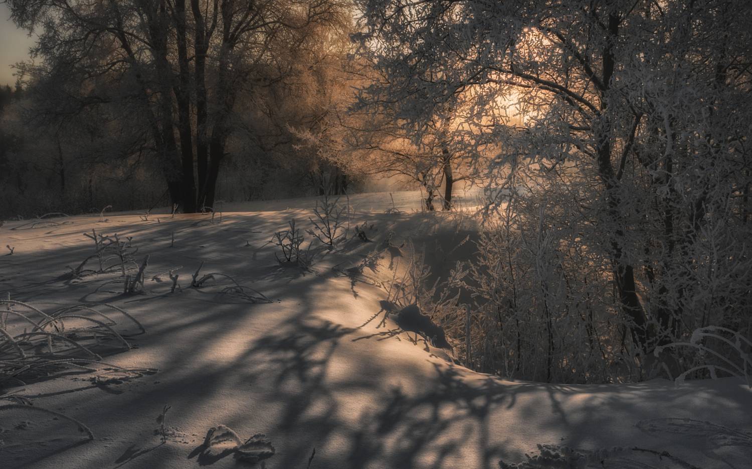 , Олег Дунаев