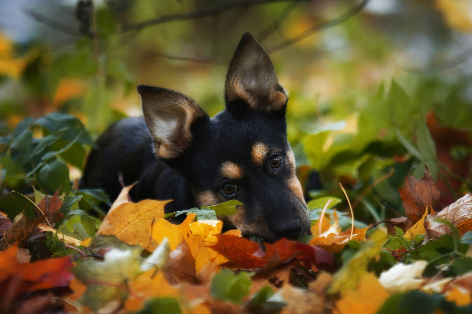 , Зубкова Юлия