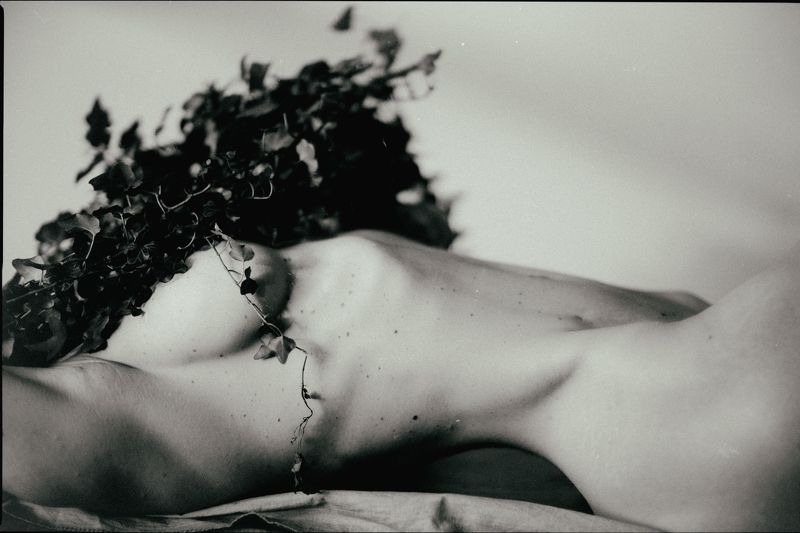 * * * фото превью