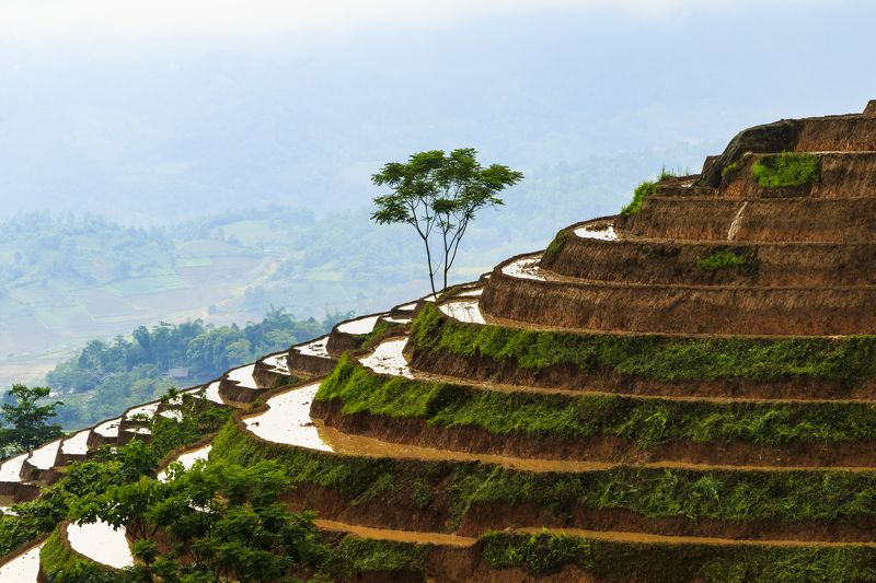 The filling water season фото превью