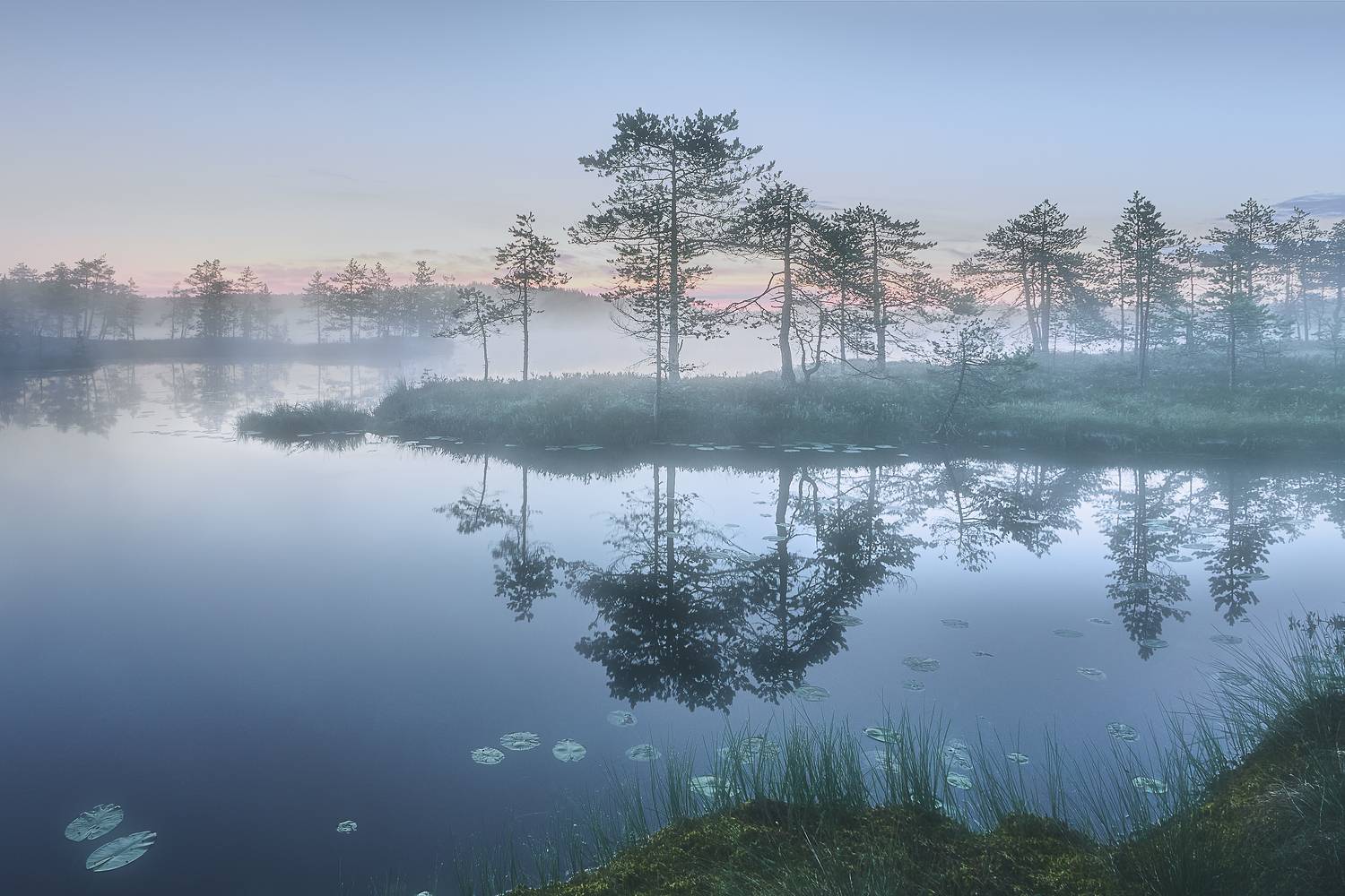 , Кононов Антон