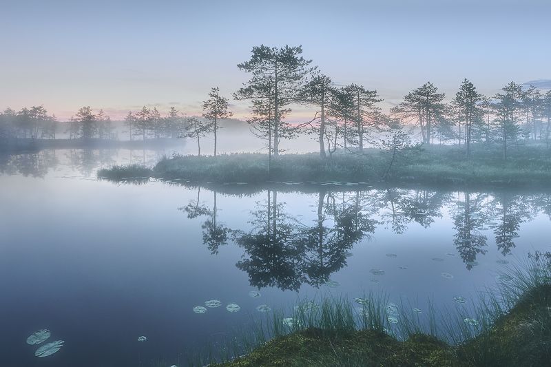 утро фото превью