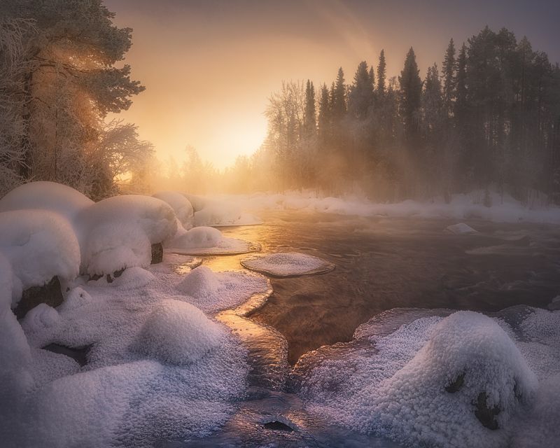 Утренний свет фото превью