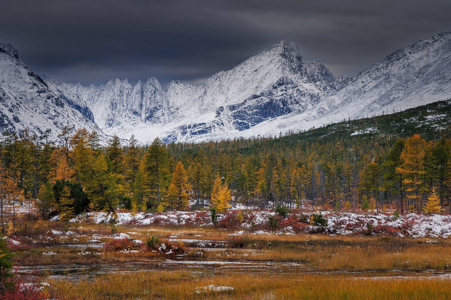 , Морозов Сергей