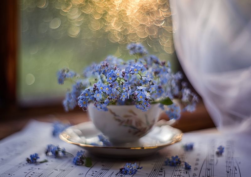 Улетающий день... фото превью