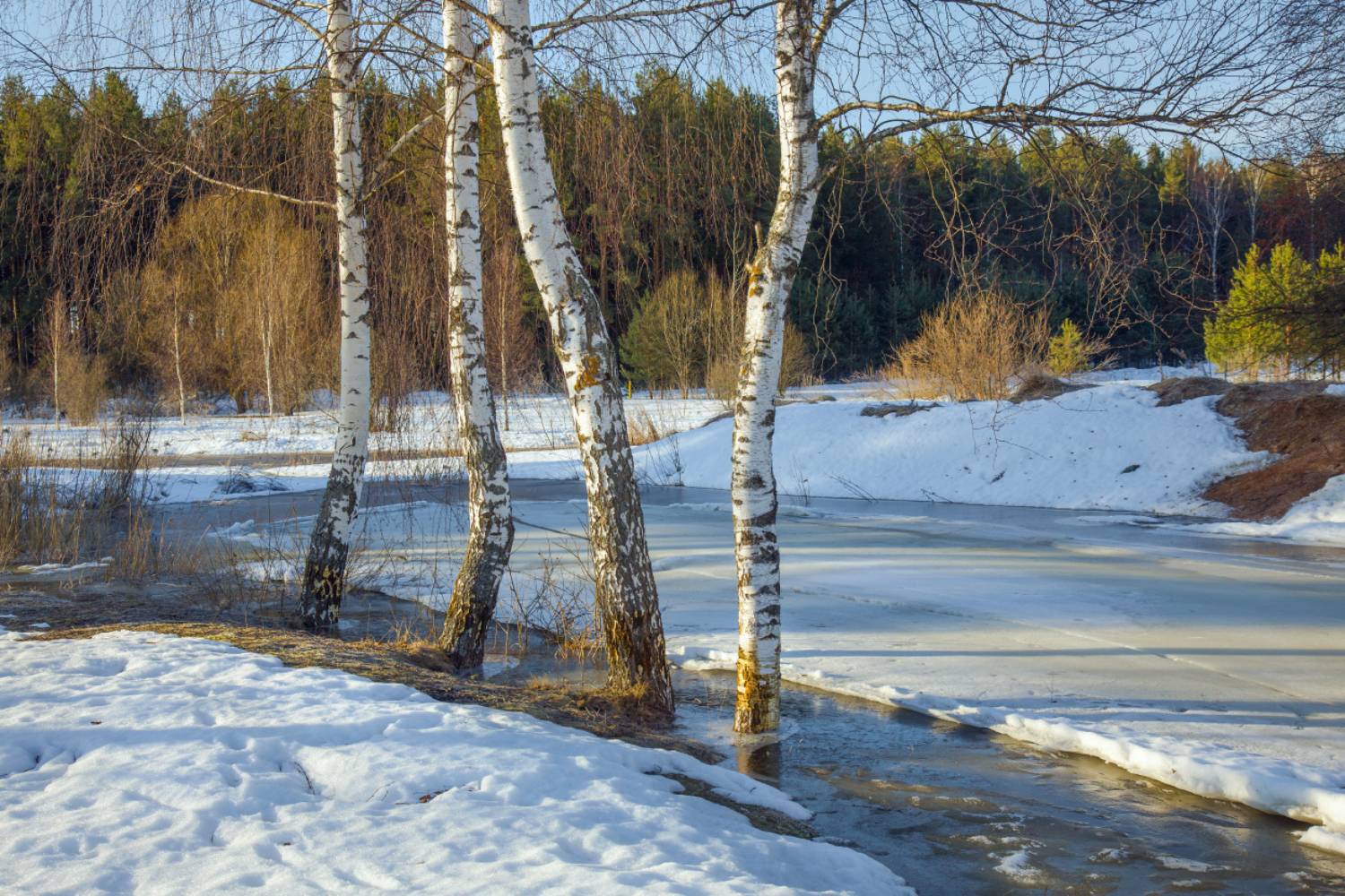 серково весна лед утро, Дмитрий Алексеев