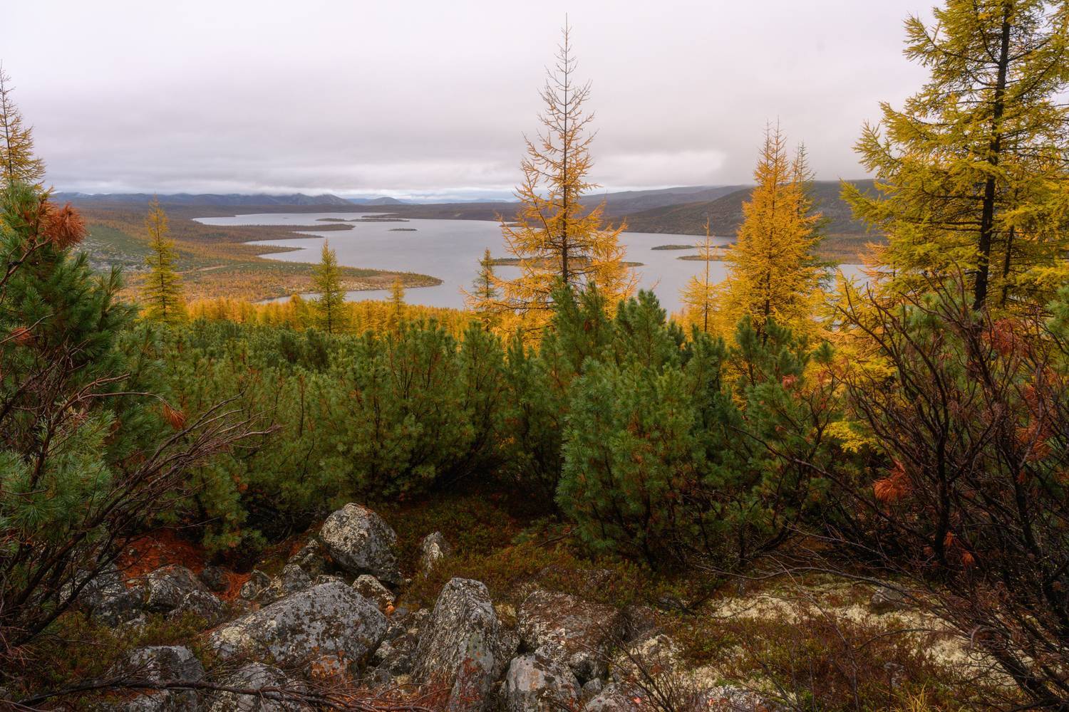 колыма, озеро джека лондона, золотая осень, магаданская область, Юлия Лаптева