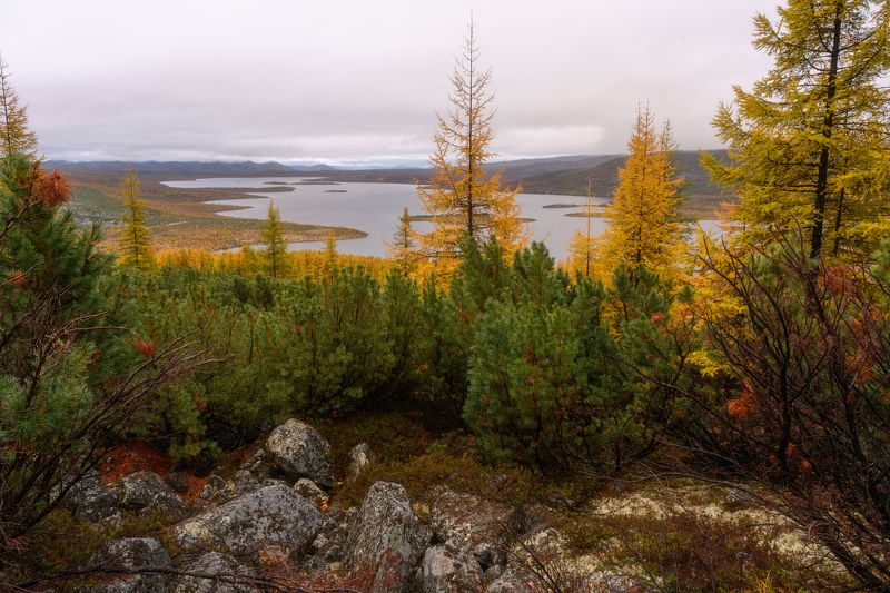 колыма, озеро джека лондона, золотая осень, магаданская область \