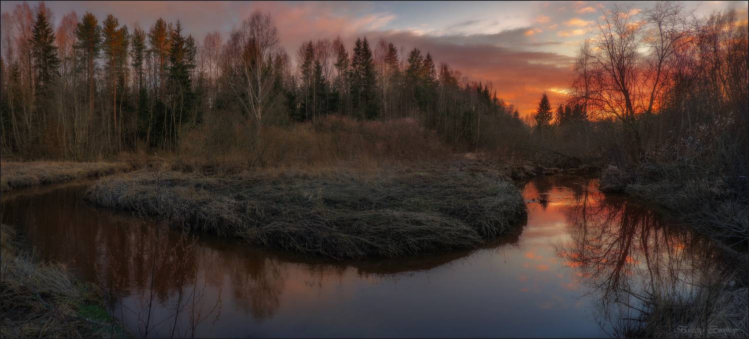, Болеско Виктор