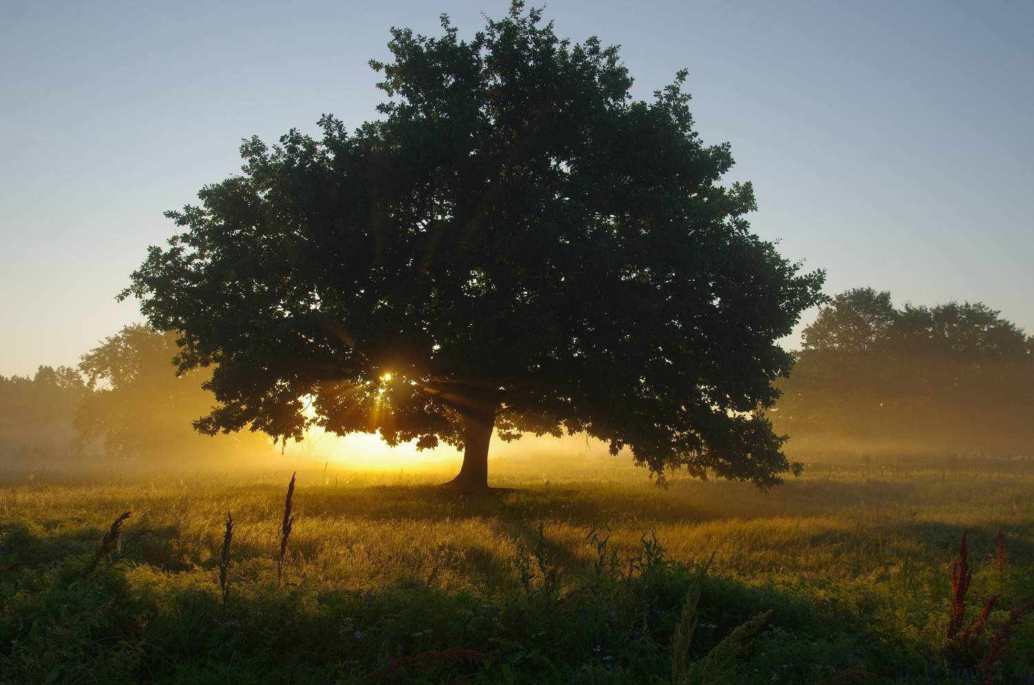 , Сергей Шляга