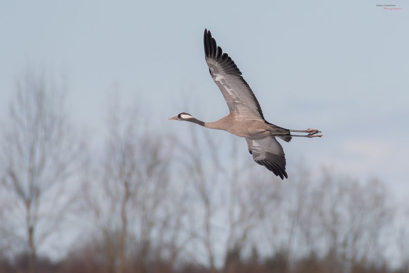 Апрельский фото превью