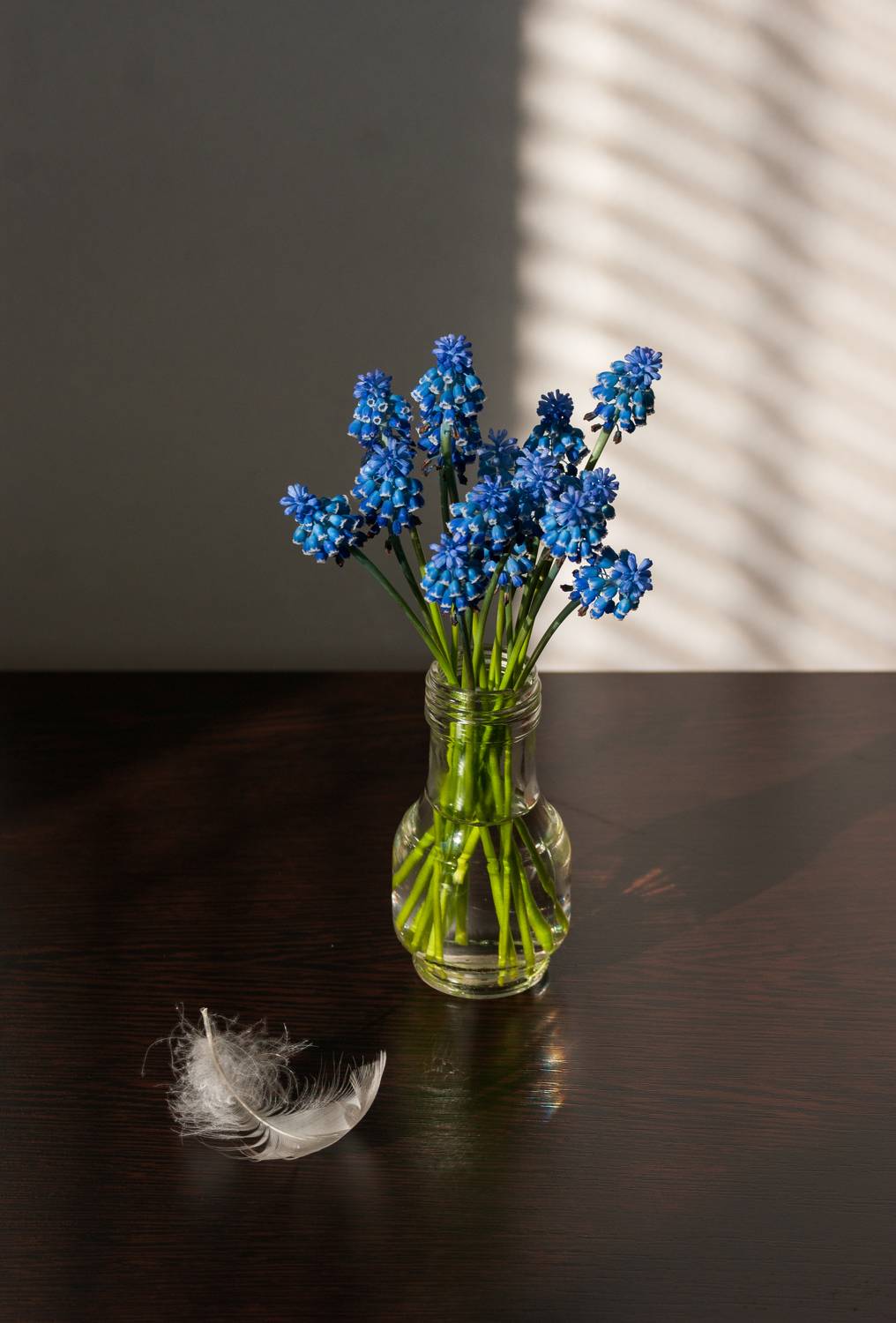 , Елена Павлюк