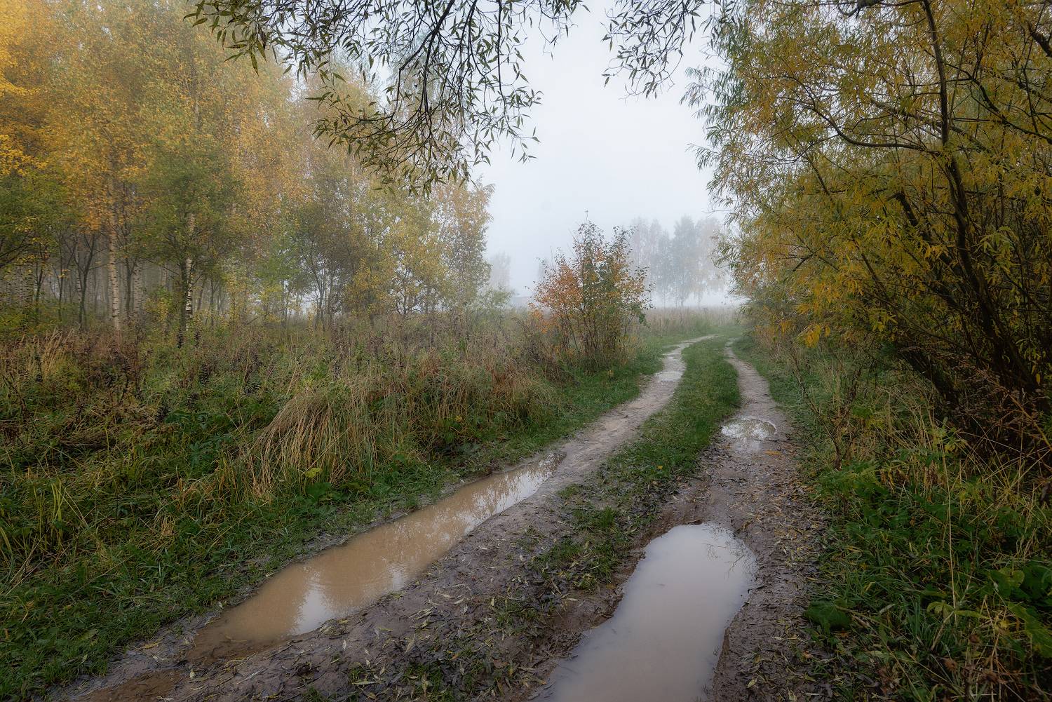 лужи, осень, просёлок, дорожка, ненастье,слякоть., Сергей Аникин